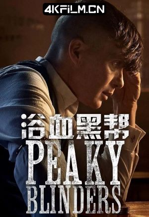 copy影视封面.jpg