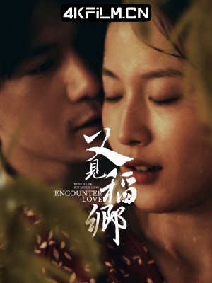 copy影视封面.jpg