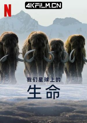 copy影视封面.jpg