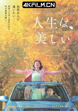 4kfilm.cn影视封面.jpg