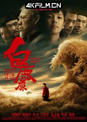 4kfilm.cn影视封面.jpg
