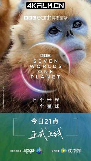 4kfilm视界 影视封面.jpg