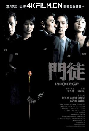 4kfilm视界 影视封面.jpg