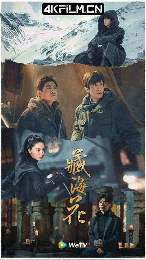 4kfilm视界 影视封面.jpg