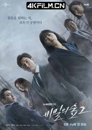 4kfilm视界 影视封面.jpg
