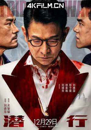 4kfilm视界 影视封面.jpg
