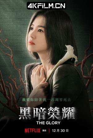 4kfilm视界 影视封面.jpg