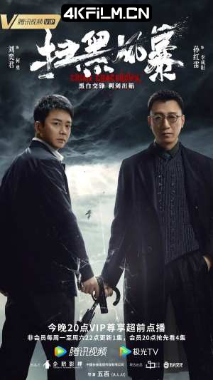 4kfilm视界 影视封面.jpg