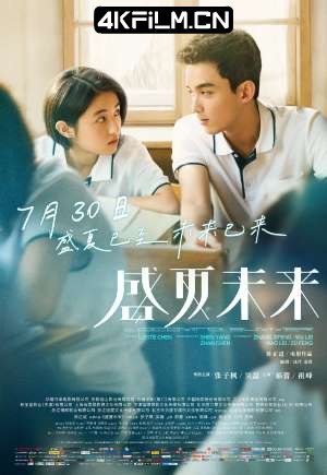 4kfilm视界 影视封面.jpg