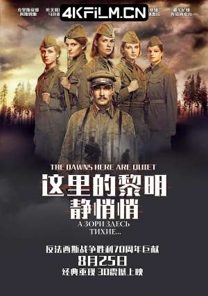 4kfilm视界 影视封面.jpg