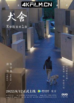 4kfilm视界 影视封面.jpg