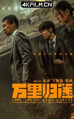 4kfilm视界 影视封面.jpg