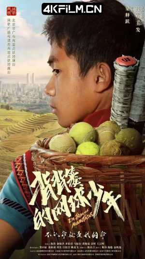 4kfilm视界 影视封面.jpg