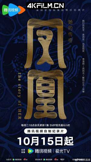 4kfilm视界 影视封面.jpg
