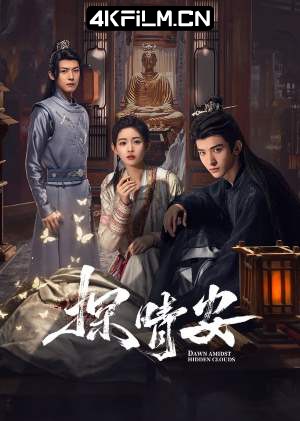 4kfilm视界 影视封面.jpg
