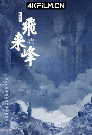 4kfilm视界 影视封面.jpg