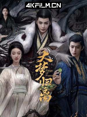 4kfilm视界 影视封面.jpg