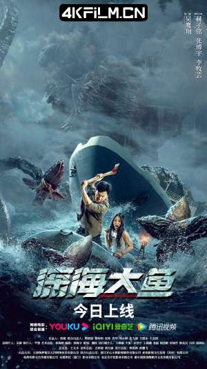 4kfilm视界 影视封面.jpg