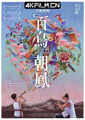 4kfilm视界 影视封面.jpg