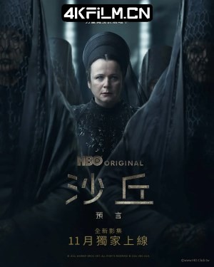 4kfilm视界 影视封面.jpg