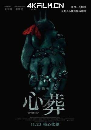 4kfilm视界 影视封面.jpg