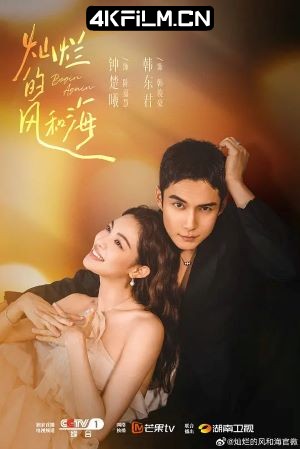 4Kfilm视界影视封面.jpg