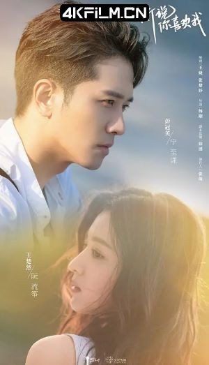 4kfilm视界 影视封面.jpg