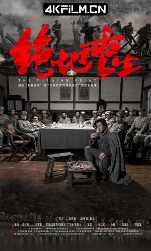 4Kfilm视界影视封面.jpg