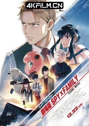 4Kfilm视界影视封面.jpg