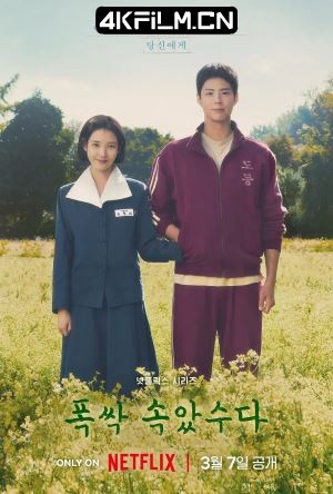 4Kfilm视界影视封面.jpg