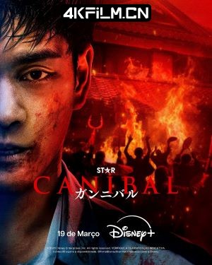 4Kfilm视界影视封面.jpg