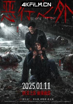 4Kfilm视界影视封面.jpg