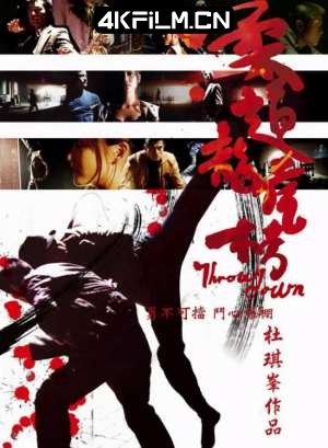 4Kfilm视界影视封面.jpg