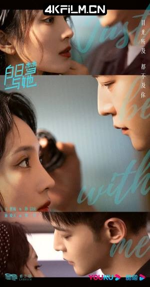 4Kfilm视界影视封面.jpg