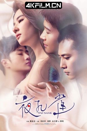 4Kfilm视界影视封面.jpg