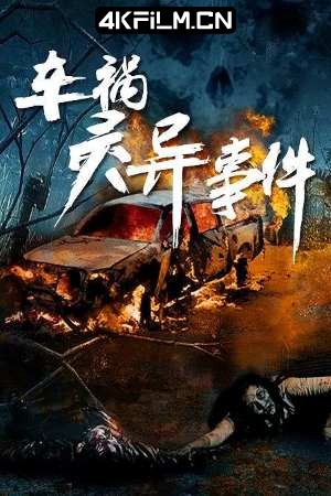 4Kfilm视界影视封面.jpg