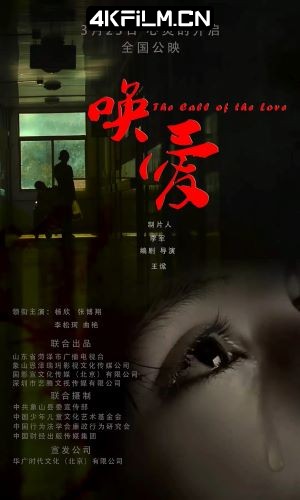 4Kfilm视界影视封面.jpg