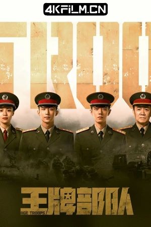 4Kfilm视界影视封面.jpg
