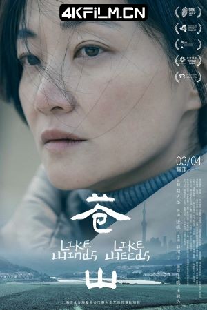 4Kfilm视界影视封面.jpg