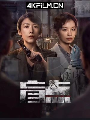 4Kfilm视界影视封面.jpg