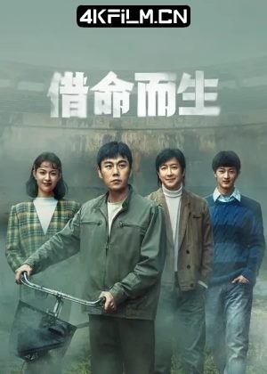4Kfilm视界影视封面.jpg
