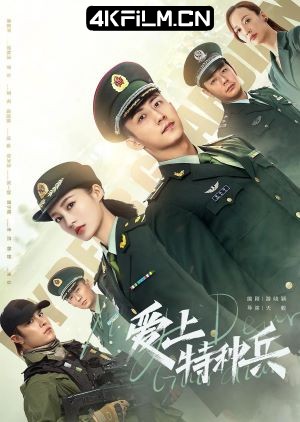 4Kfilm视界影视封面.jpg