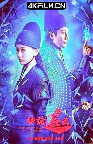 4Kfilm视界影视封面.jpg