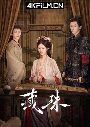 4Kfilm视界影视封面.jpg