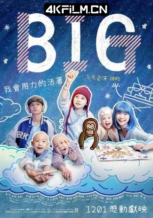 4Kfilm视界影视封面.jpg