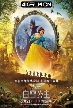 4Kfilm视界影视封面.jpg