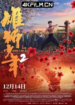 4Kfilm视界影视封面.jpg