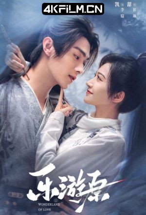4Kfilm视界影视封面.jpg