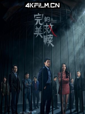 4Kfilm视界影视封面.jpg