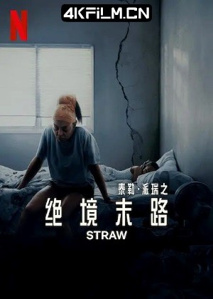 4Kfilm视界影视封面.jpg